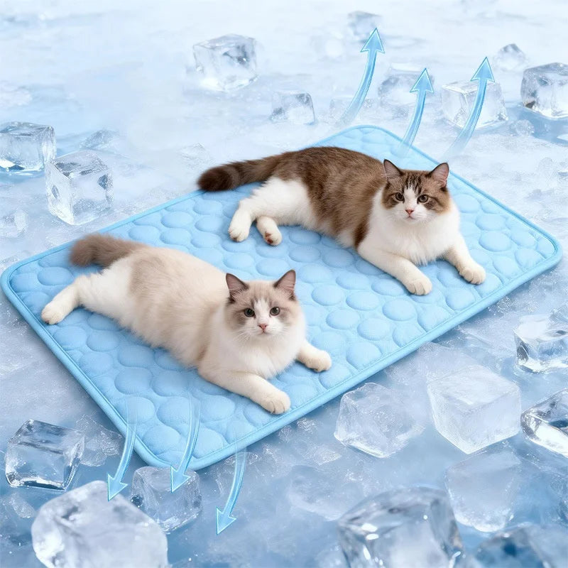 Kjølematte Hund Sommer Kald Seng Kjæledyr Ekstra Stor For Små Store Hunder Kjæledyrtilbehør Katt Slitesterkt Teppe Sofa Katt Ispute Teppe
